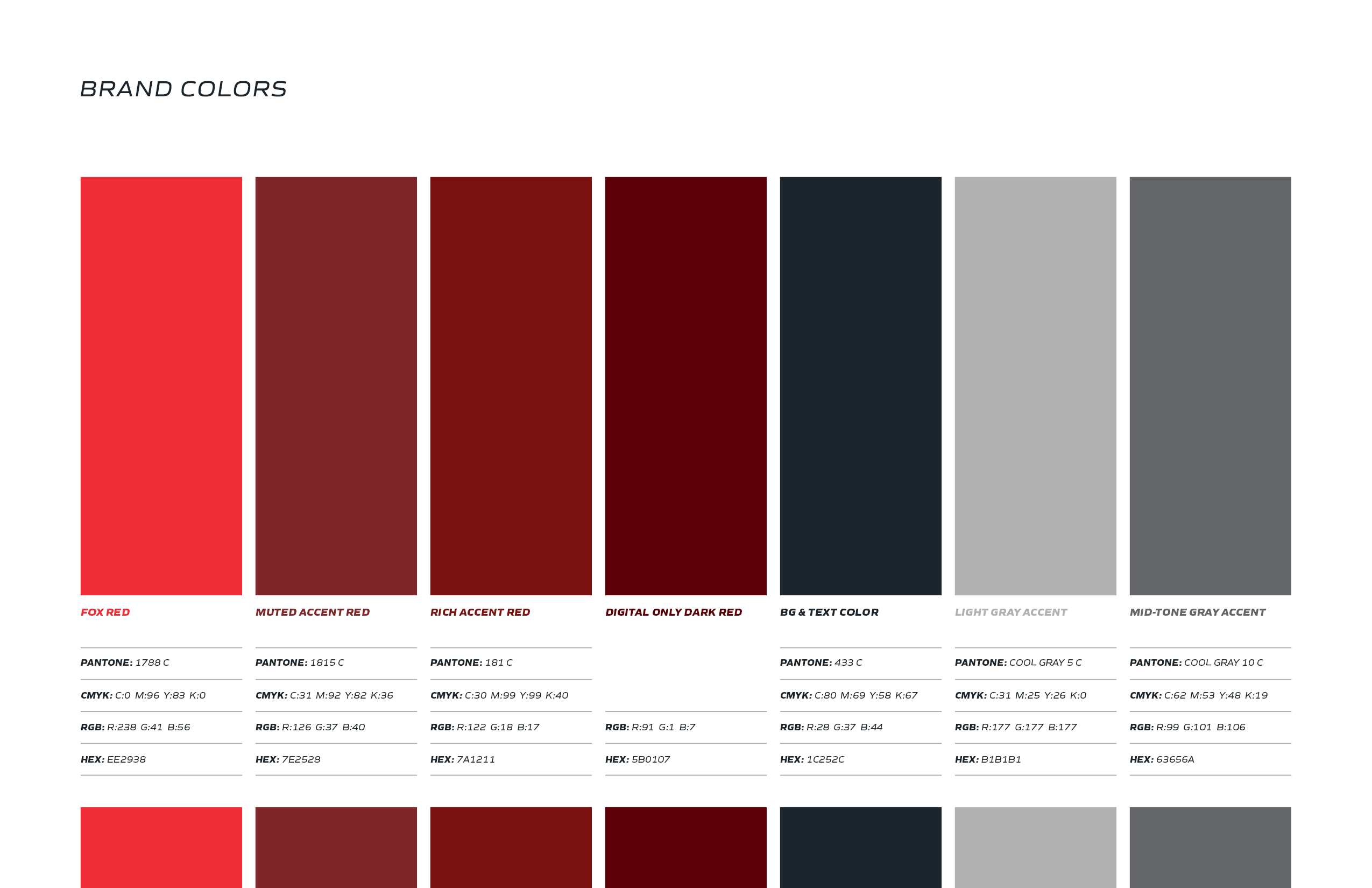 Brand color guide example